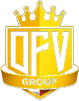 DFV Group